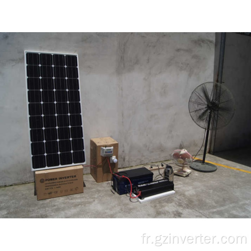 Onduleur d&#39;alimentation 3000watt 12v 220V 110V